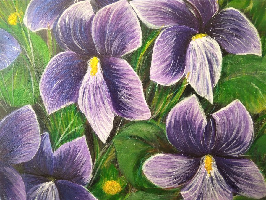 Violets