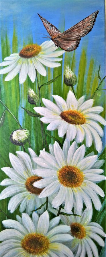 Daisies