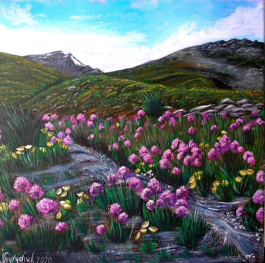Spring in the mountains