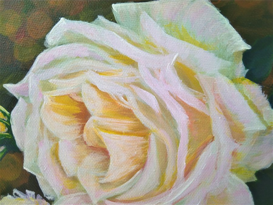 White rose