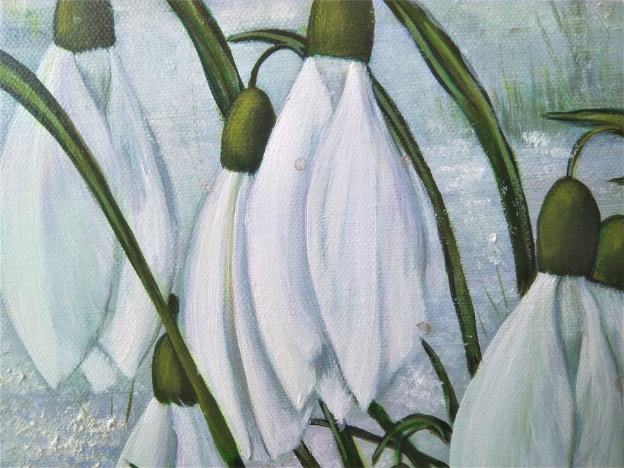 Snowdrop