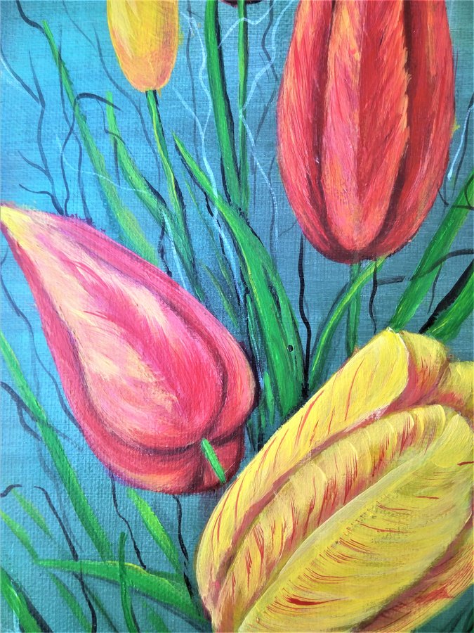 Tulips