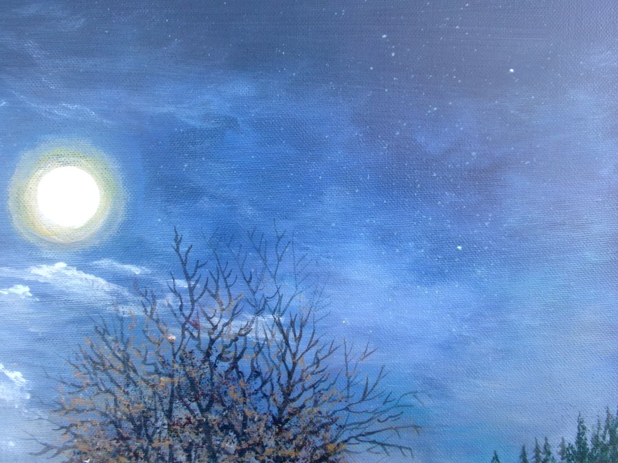 Moonlit night