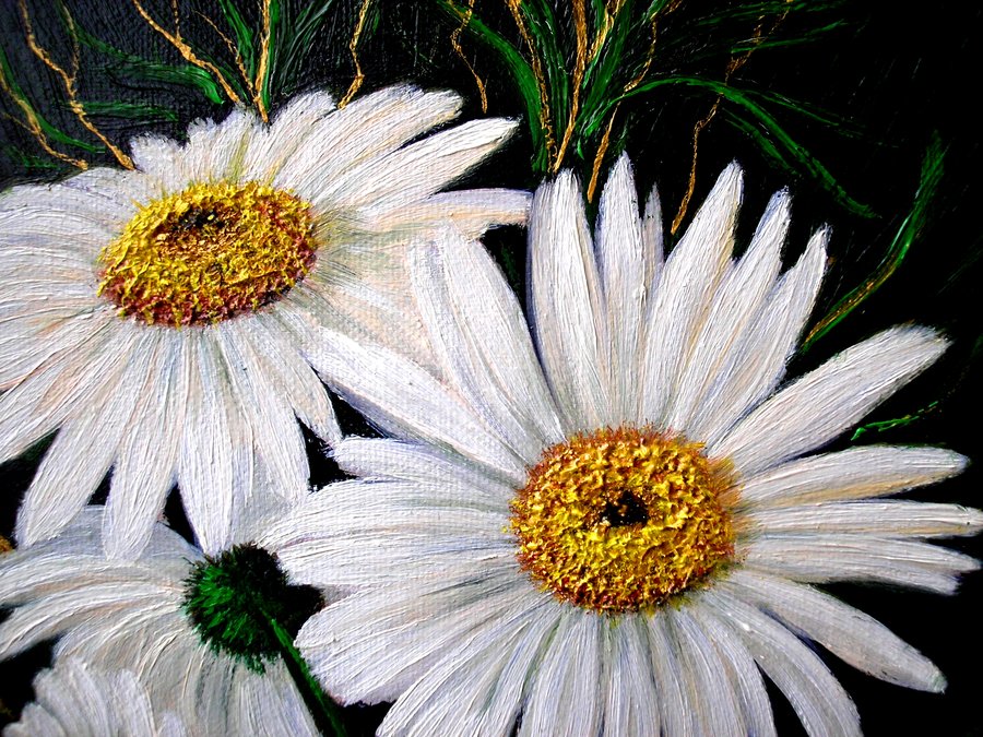 Chamomile 3