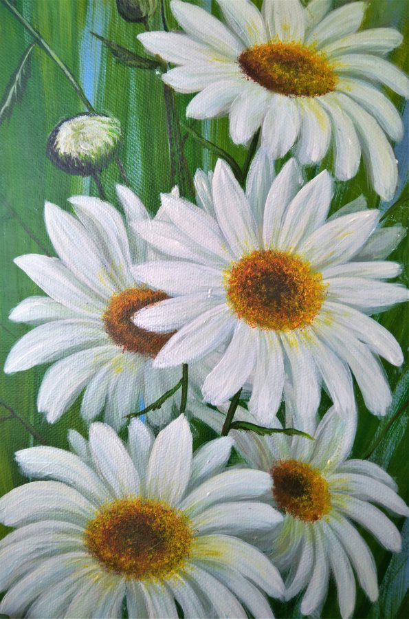 Daisies