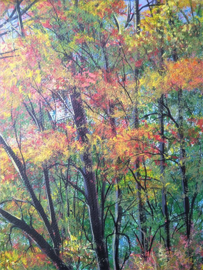 Autumn park