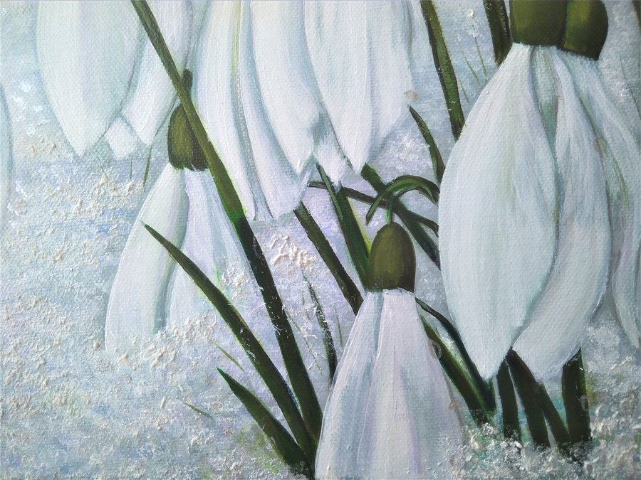 Snowdrop
