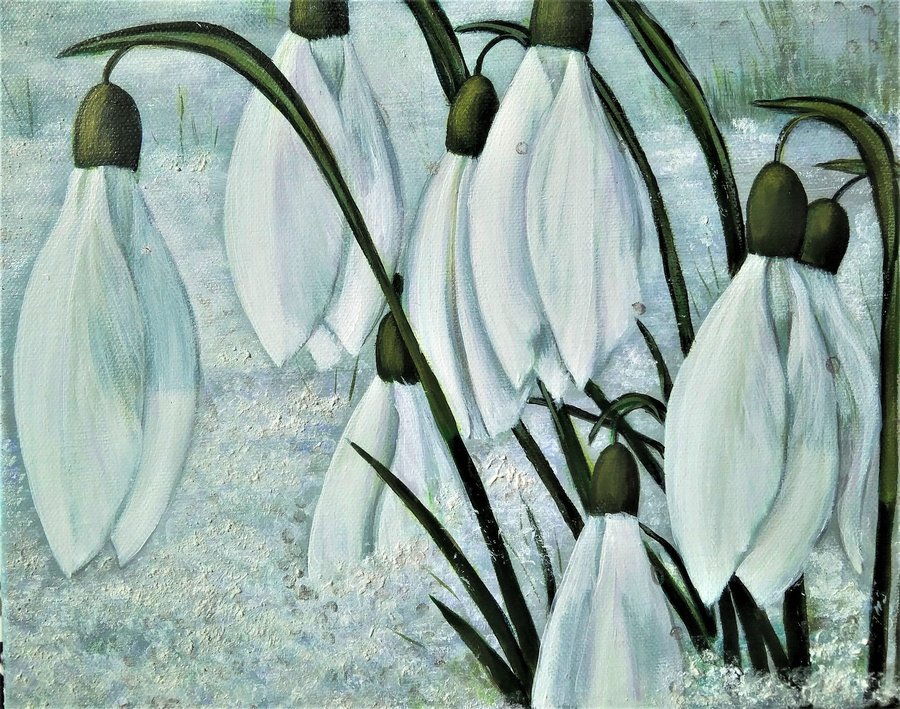 Snowdrop