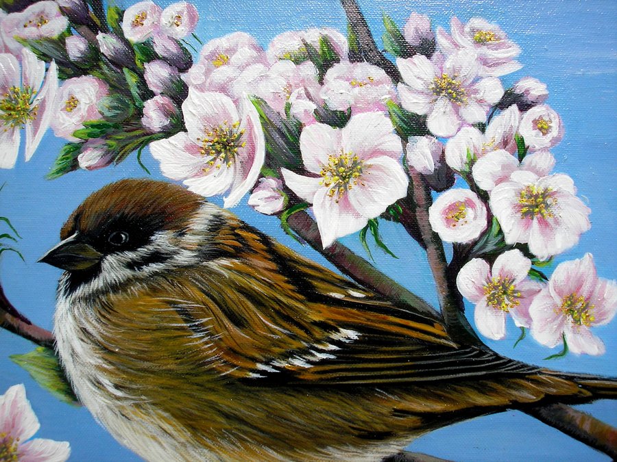 Sparrow