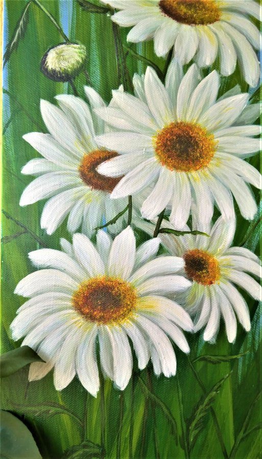 Daisies