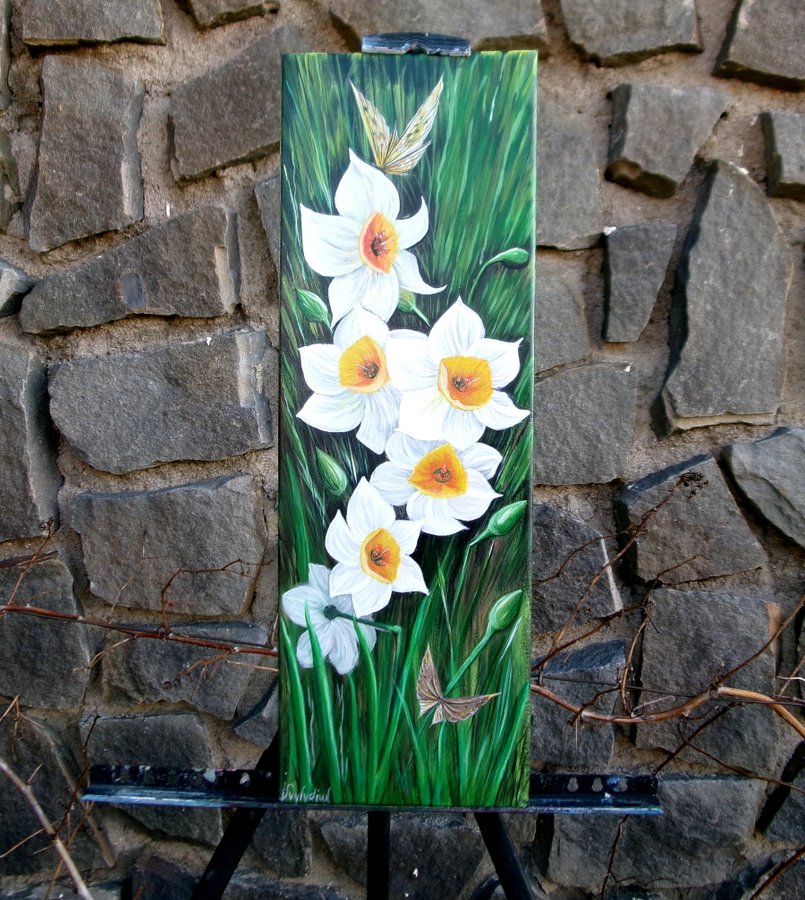 Narcissus