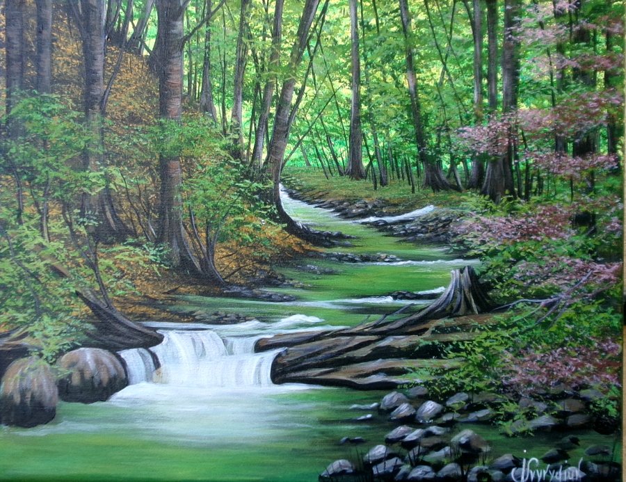 Forest river