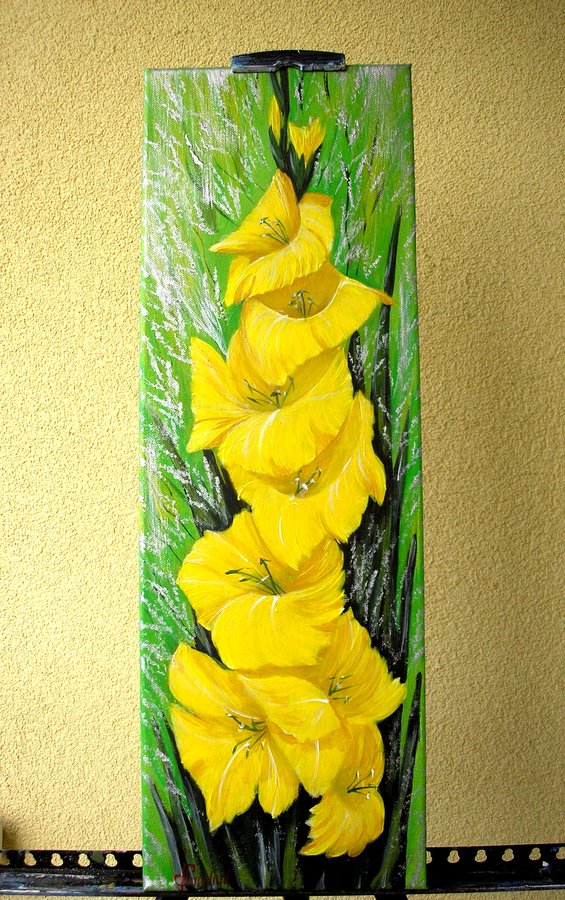 Yellow gladiolus