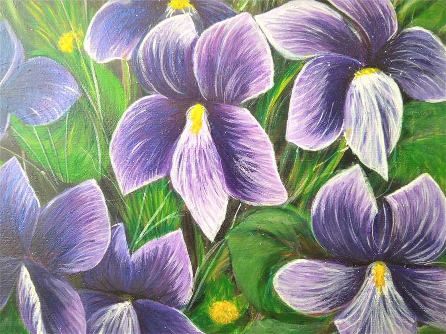 Violets