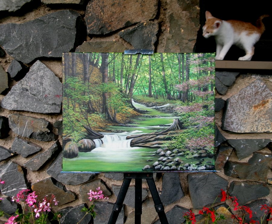 Forest river
