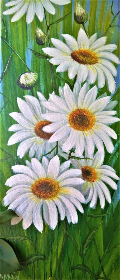 Daisies