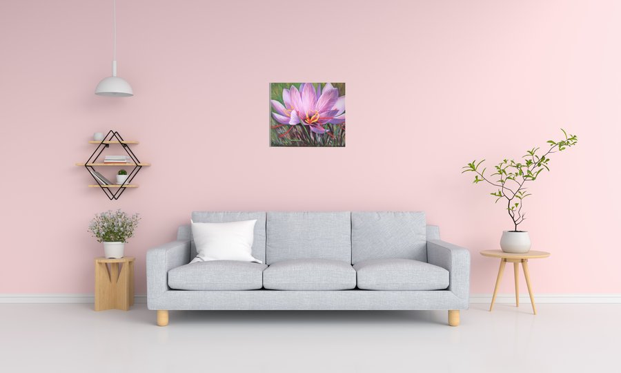 Saffron crocus flower