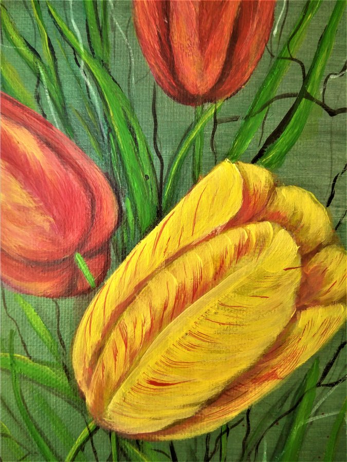 Tulips