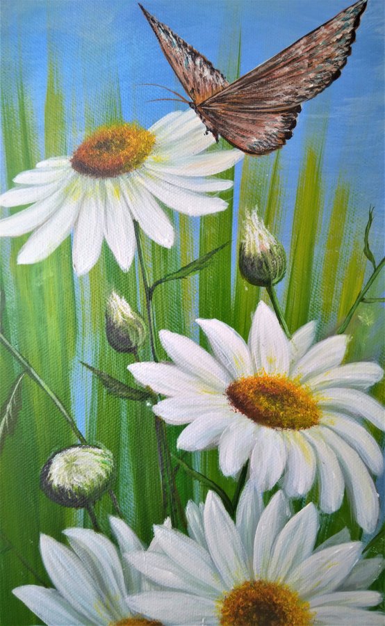 Daisies