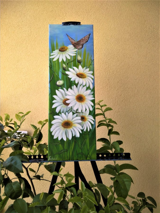 Daisies