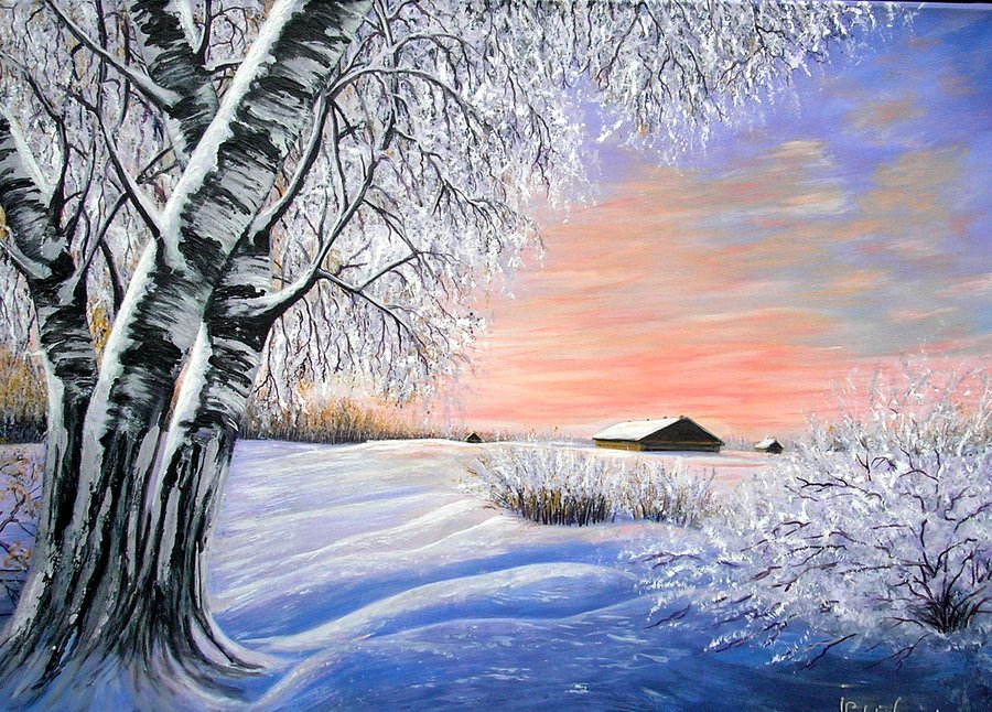 Frosty morning