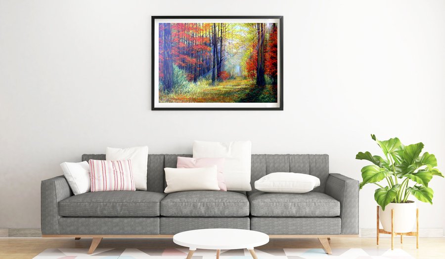 Morning in the autumn forest