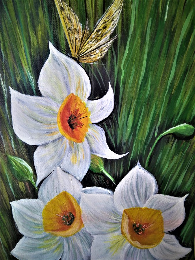 Narcissus