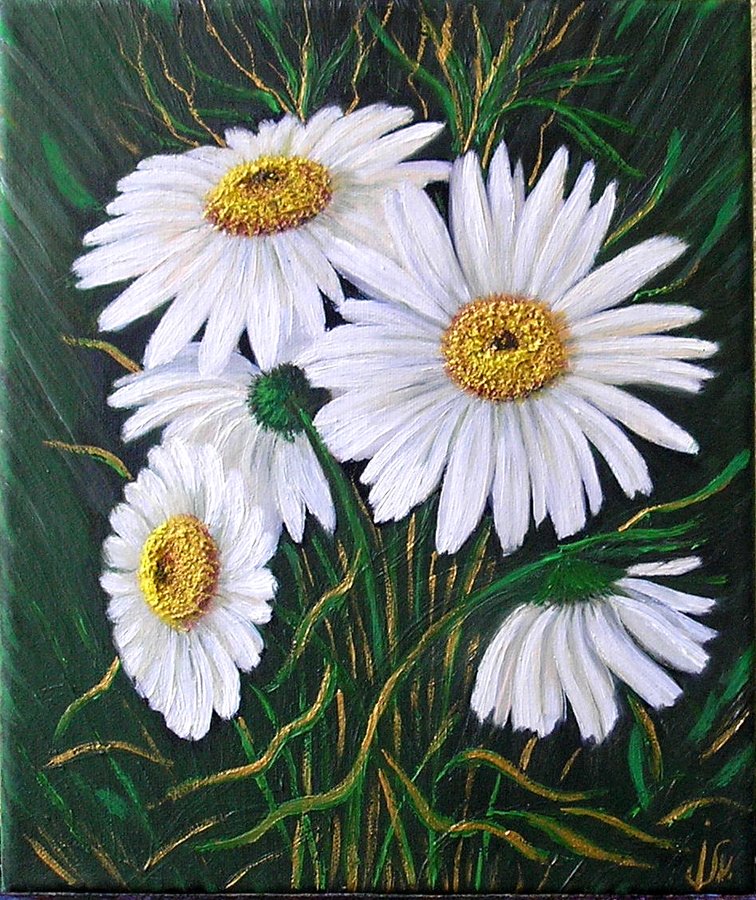 Chamomile 3