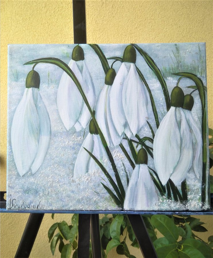 Snowdrop