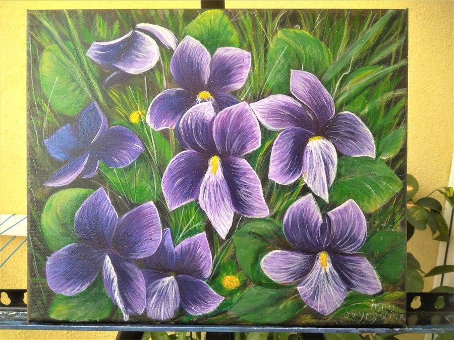 Violets
