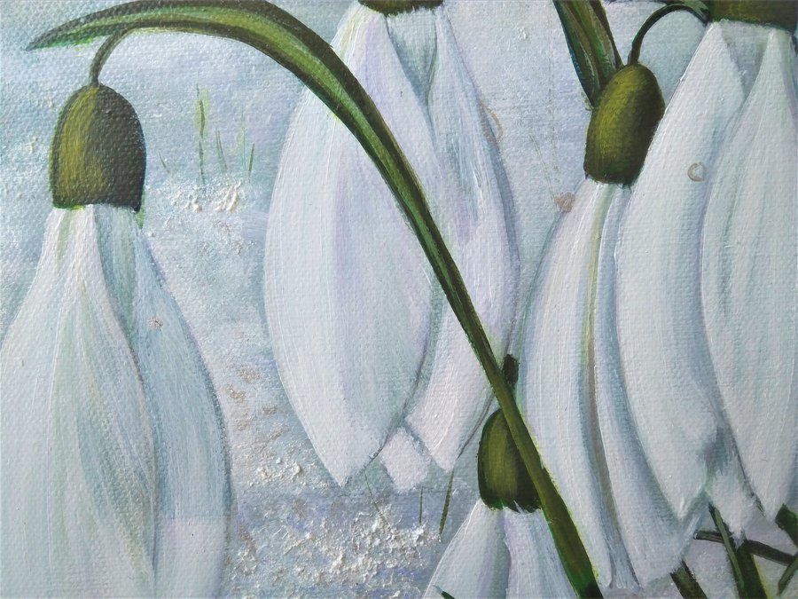 Snowdrop
