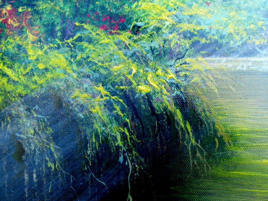 Morning in the forest
