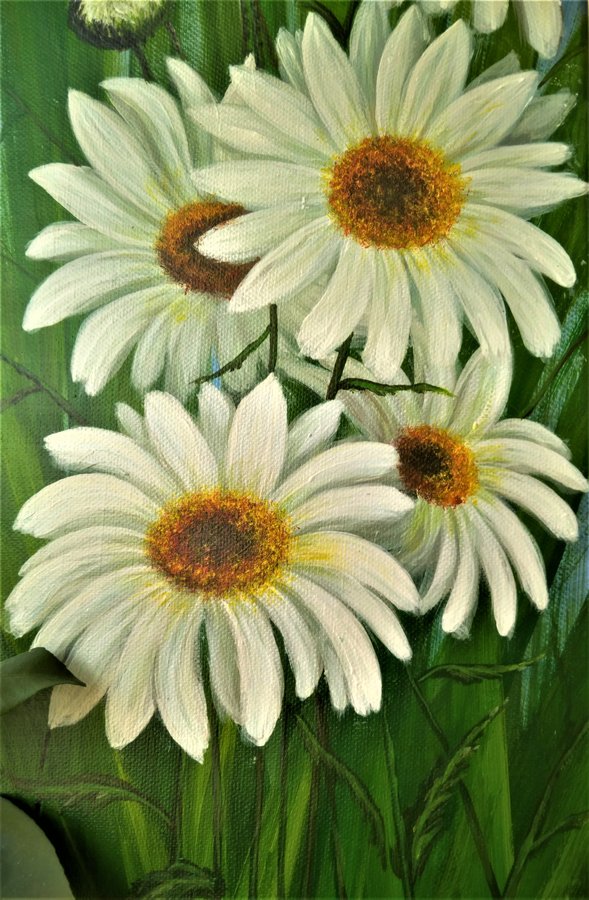 Daisies