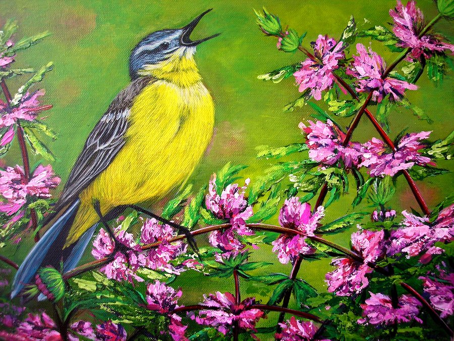 Morning bird