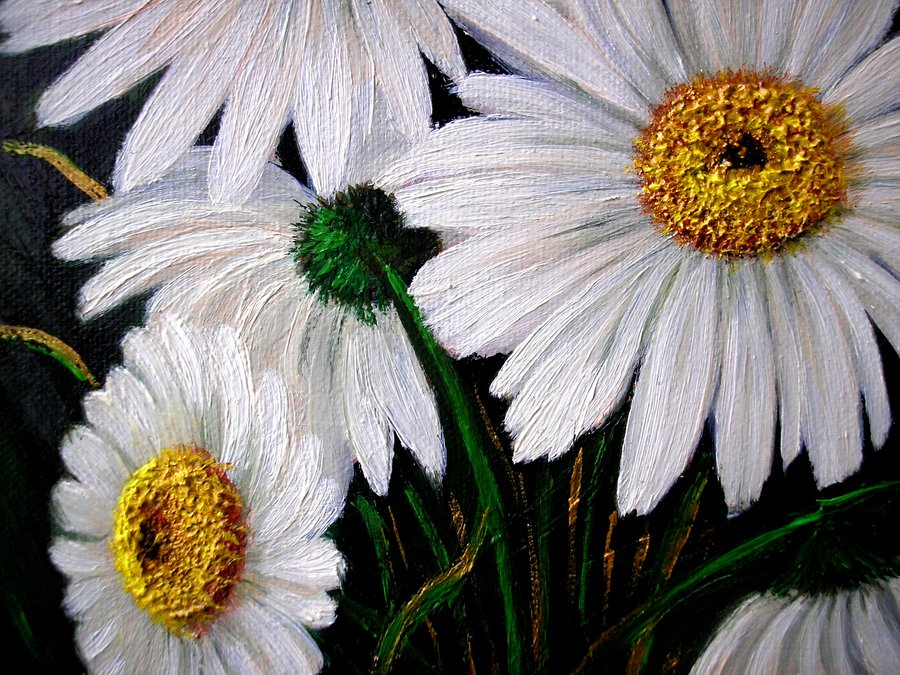 Chamomile 3