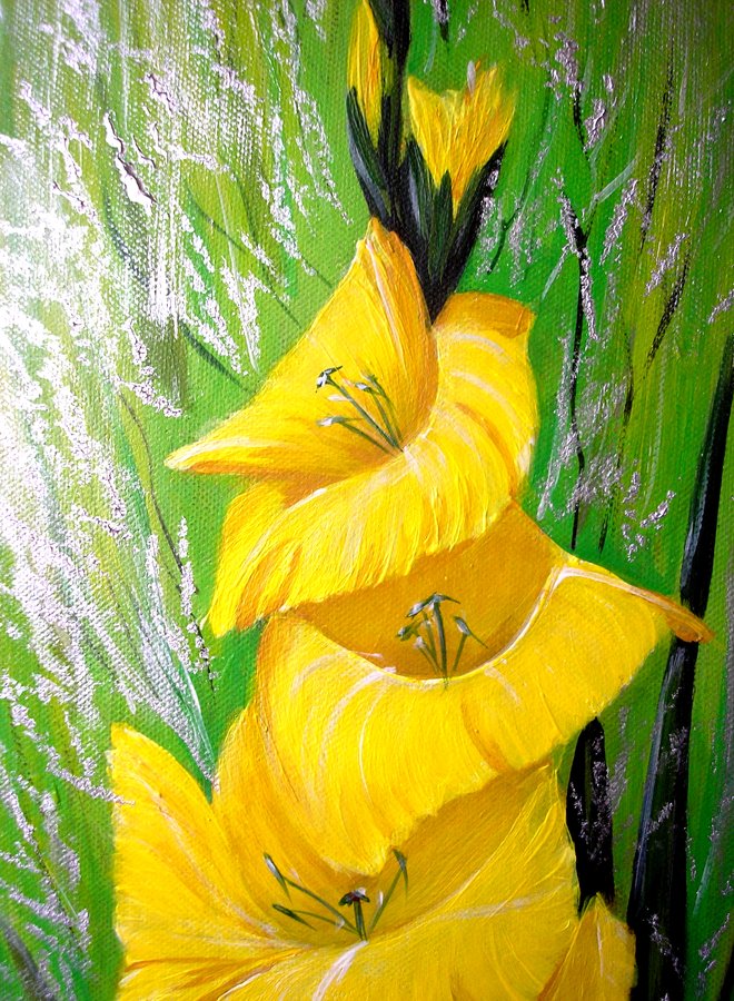 Yellow gladiolus