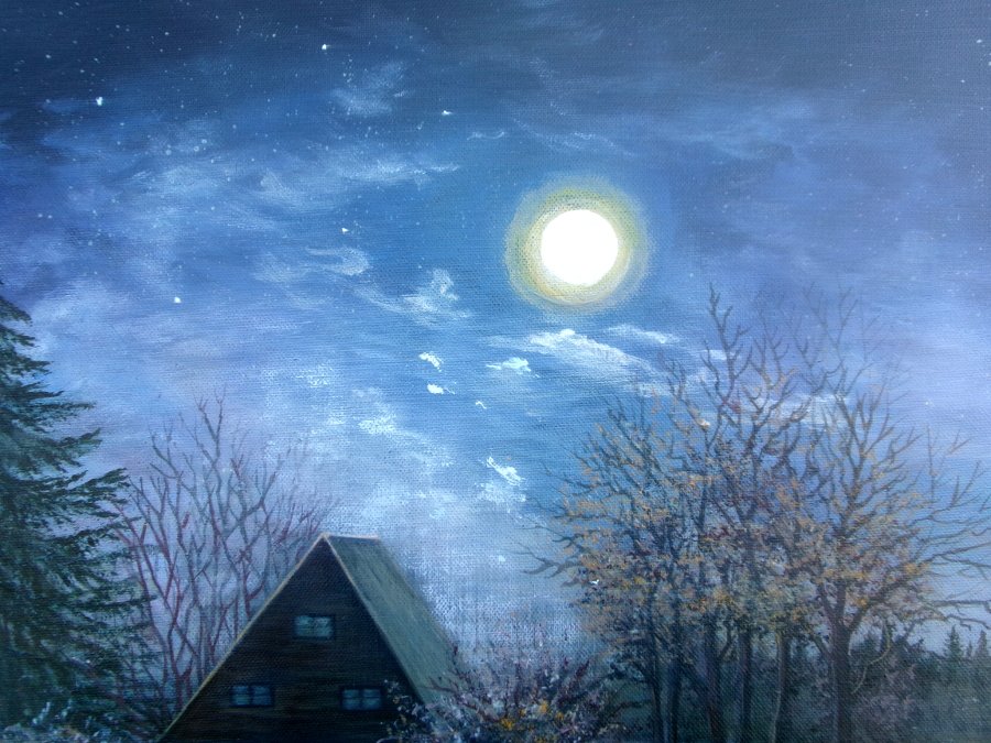 Moonlit night