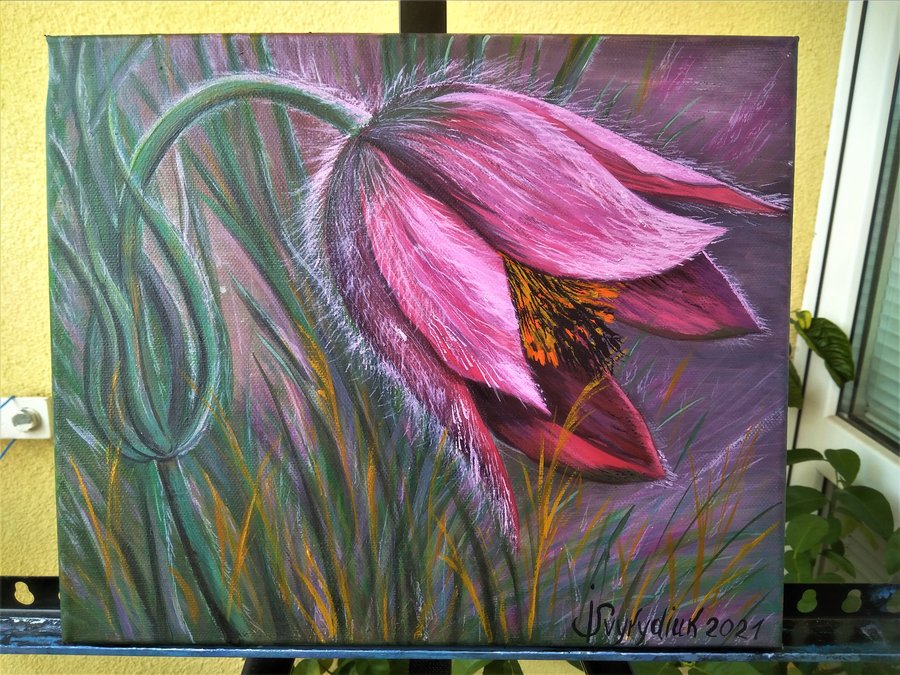 Pulsatilla