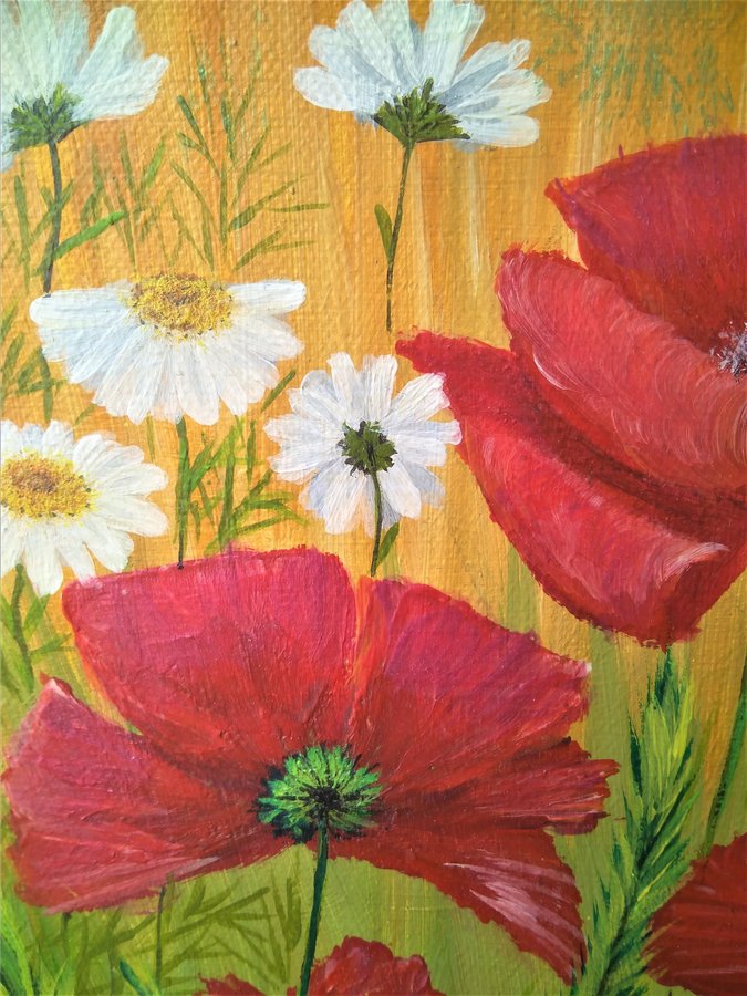 Summer flowers