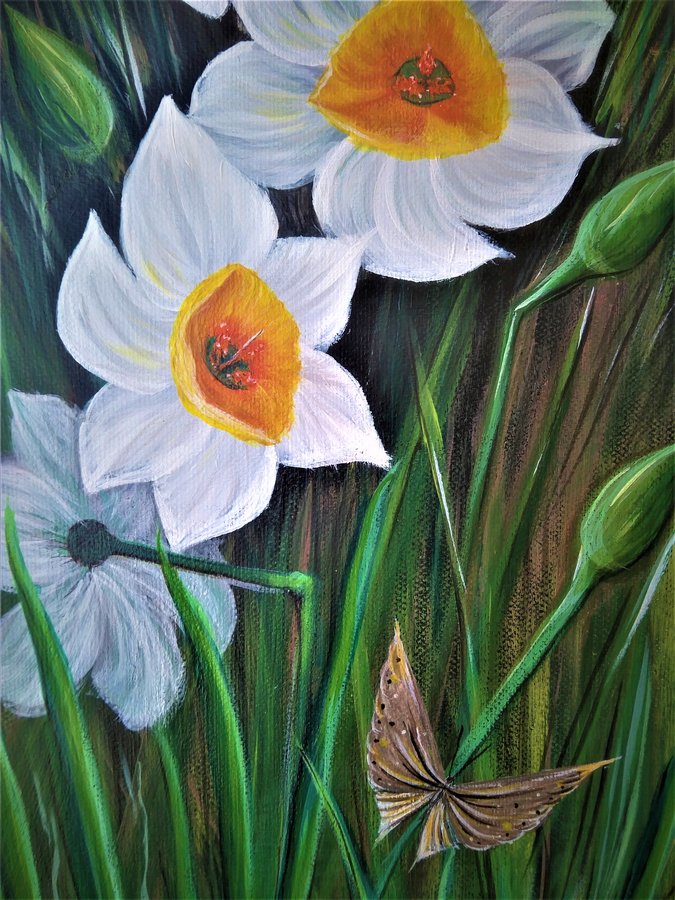 Narcissus