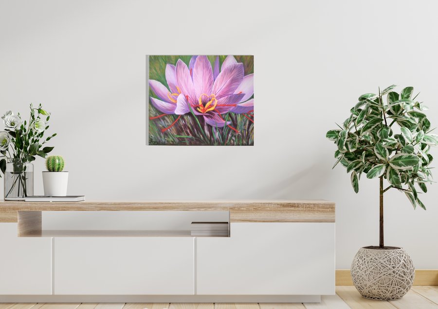 Saffron crocus flower