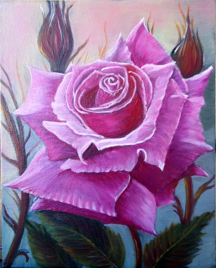 A lonely rose