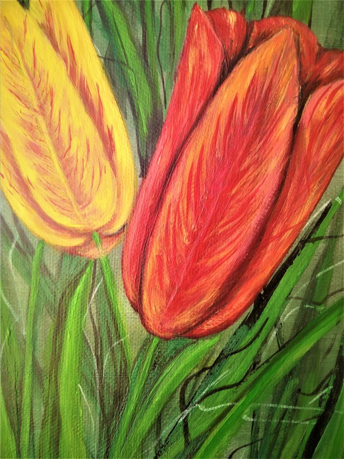 Tulips