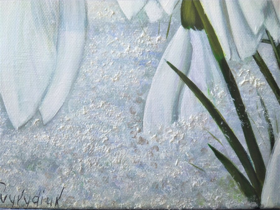 Snowdrop