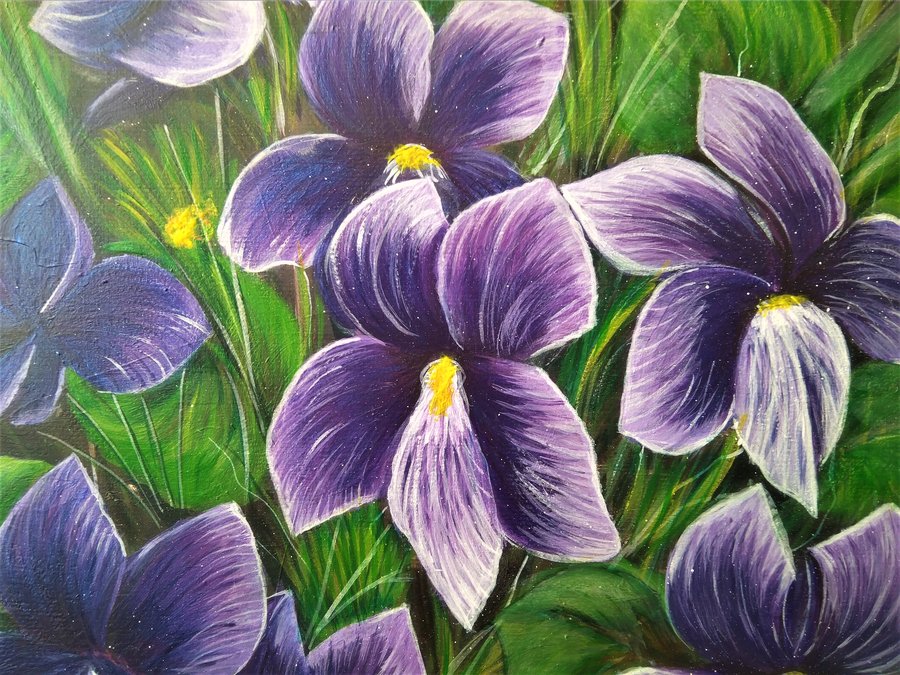 Violets