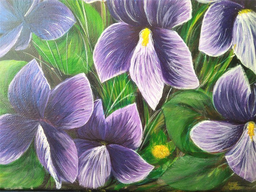 Violets