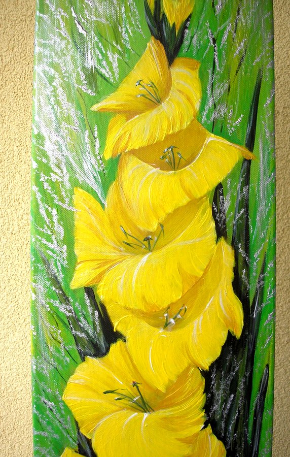 Yellow gladiolus