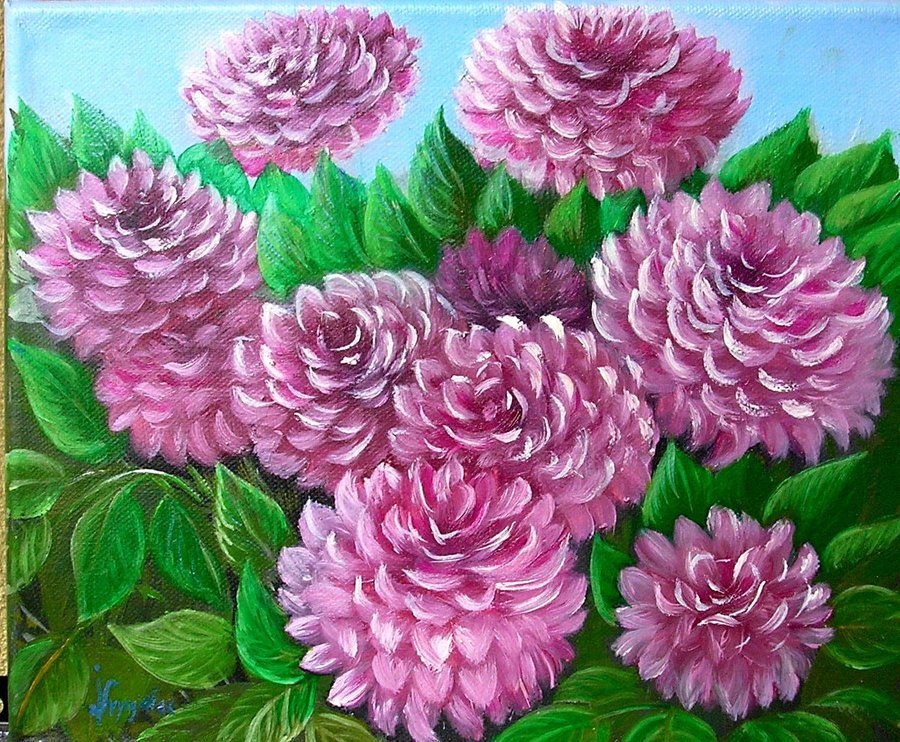 Pink flowers