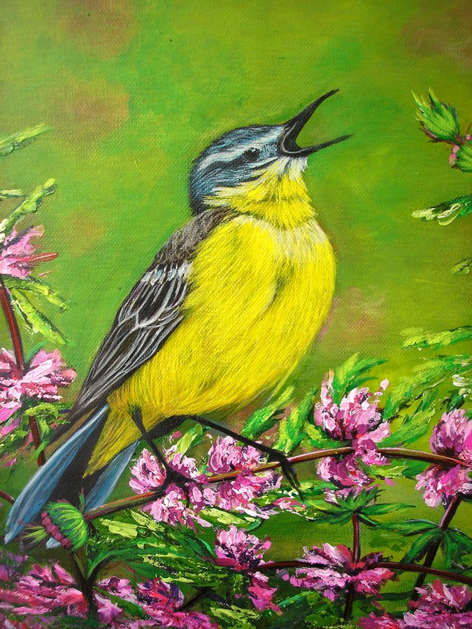 Morning bird