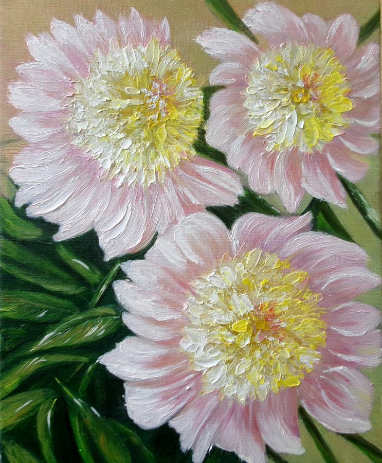 Peonies 2
